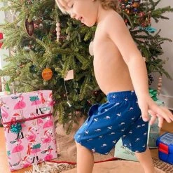 Mens Bermies Kids Swim Trunk In Miami