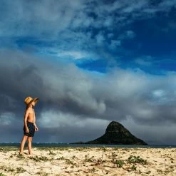 Mens Bermies Kids Swim Trunk In Sharks