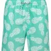 Snapperrock Boy's Mint Pineapple Board Short B90034P